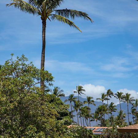 Beautiful 2Br 2Ba With Panoramic Ocean Views, Wifi, Free Parking! Kihei Extérieur photo