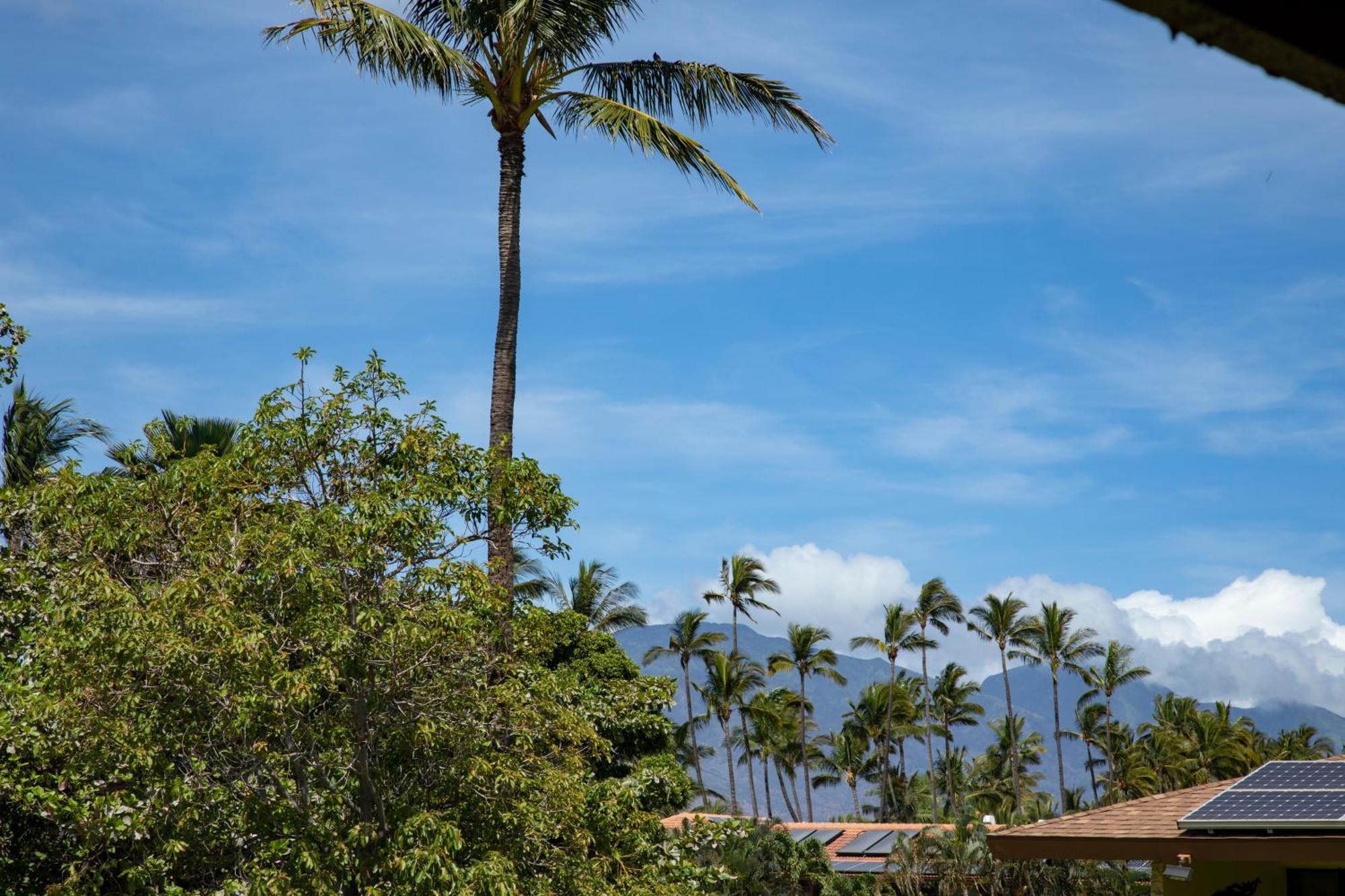 Beautiful 2Br 2Ba With Panoramic Ocean Views, Wifi, Free Parking! Kihei Extérieur photo